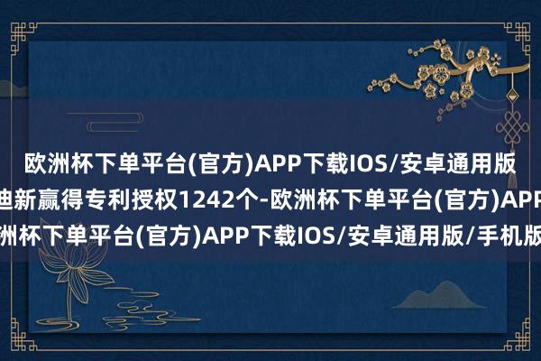 欧洲杯下单平台(官方)APP下载IOS/安卓通用版/手机版本年以来比亚迪新赢得专利授权1242个-欧洲杯下单平台(官方)APP下载IOS/安卓通用版/手机版