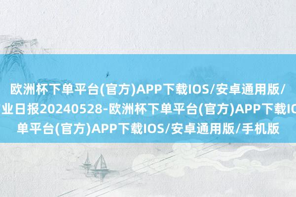 欧洲杯下单平台(官方)APP下载IOS/安卓通用版/手机版瑞达期货沪铅产业日报20240528-欧洲杯下单平台(官方)APP下载IOS/安卓通用版/手机版