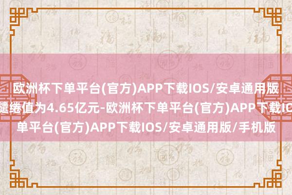 欧洲杯下单平台(官方)APP下载IOS/安卓通用版/手机版最新钞票净值缱绻值为4.65亿元-欧洲杯下单平台(官方)APP下载IOS/安卓通用版/手机版