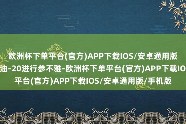 欧洲杯下单平台(官方)APP下载IOS/安卓通用版/手机版雷军还登上运油-20进行参不雅-欧洲杯下单平台(官方)APP下载IOS/安卓通用版/手机版