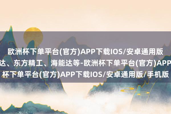 欧洲杯下单平台(官方)APP下载IOS/安卓通用版/手机版净买入的有拓斯达、东方精工、海能达等-欧洲杯下单平台(官方)APP下载IOS/安卓通用版/手机版