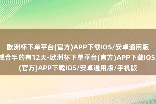 欧洲杯下单平台(官方)APP下载IOS/安卓通用版/手机版获南向资金减合手的有12天-欧洲杯下单平台(官方)APP下载IOS/安卓通用版/手机版