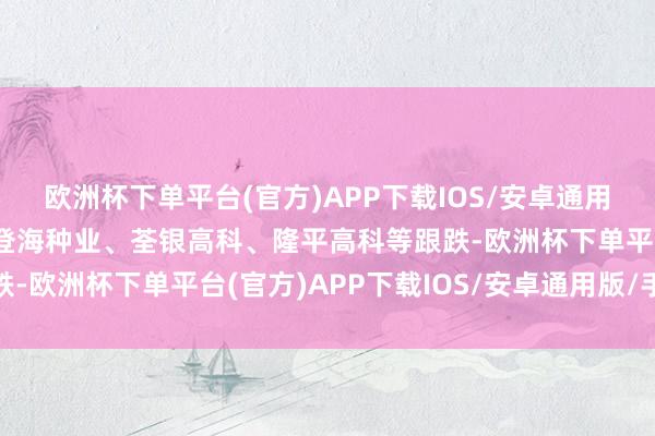 欧洲杯下单平台(官方)APP下载IOS/安卓通用版/手机版农发种业、登海种业、荃银高科、隆平高科等跟跌-欧洲杯下单平台(官方)APP下载IOS/安卓通用版/手机版