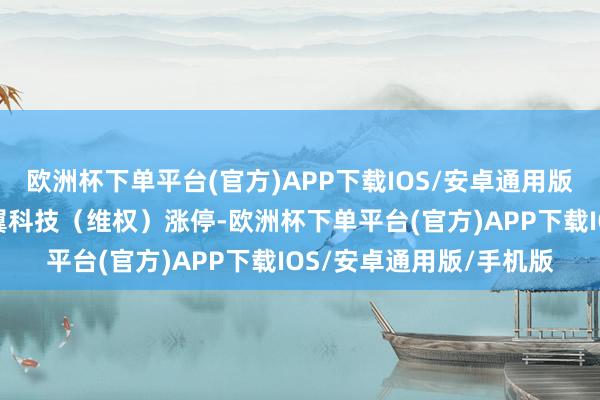 欧洲杯下单平台(官方)APP下载IOS/安卓通用版/手机版星宸科技、卓翼科技（维权）涨停-欧洲杯下单平台(官方)APP下载IOS/安卓通用版/手机版