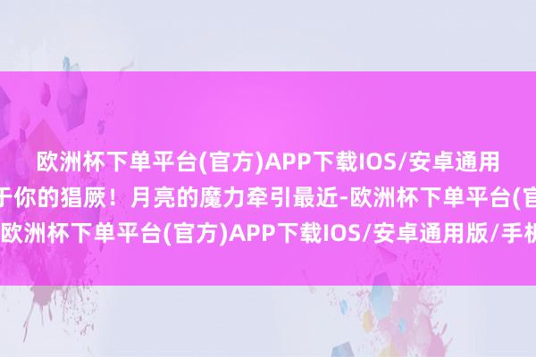 欧洲杯下单平台(官方)APP下载IOS/安卓通用版/手机版找到确实属于你的猖厥！月亮的魔力牵引最近-欧洲杯下单平台(官方)APP下载IOS/安卓通用版/手机版