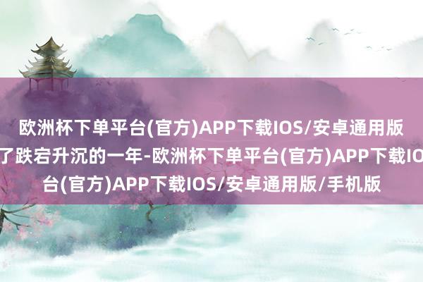 欧洲杯下单平台(官方)APP下载IOS/安卓通用版/手机版好意思元履历了跌宕升沉的一年-欧洲杯下单平台(官方)APP下载IOS/安卓通用版/手机版